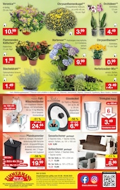 Aktueller Zimmermann Prospekt mit Blumentopf, "Mehr als Du denkst!", Seite 10