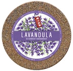 Lavandula im Angebot bei REWE in Soest Lavandula Angebote von Koch bei REWE Soest für 2,99 €