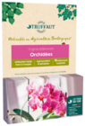 ENGRAIS POUR ORCHIDÉES - TRUFFAUT en promo chez Truffaut Montreuil à 5,49 €