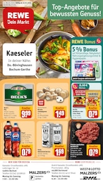 Der aktuelle REWE Prospekt Dein Markt