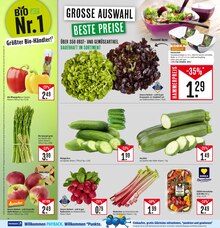 Spargel im aktuellen Marktkauf Prospekt (Ulm) Spargel im Marktkauf Prospekt "Aktuelle Angebote" mit 51 Seiten (Ulm)