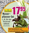 Wasserpflanzen-Set von Floraself für 17,95 € bei Hornbach im Angebot Wasserpflanzen-Set von Floraself im aktuellen Hornbach Prospekt