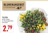 Marktkauf Warendorf Prospekt mit  im Angebot für 2,79 €