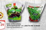 Aktuelles Buttersalat/Kopfsalat Angebot bei GLOBUS in Duisburg ab 0,29 €