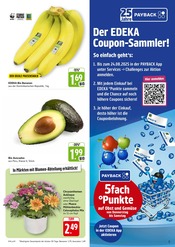 Ähnliche Angebote wie Zitronenbaum im Prospekt "Aktuelle Angebote" auf Seite 5 von EDEKA in Tübingen