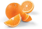 Netto Marken-Discount - Orangen Angebot im Prospekt Orangen bei Netto Marken-Discount im Prospekt "" für 3,99 €