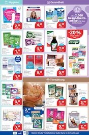 Eis im budni Prospekt in Stade Aktueller budni Prospekt mit Eis, "drogeriemarkt", Seite 5