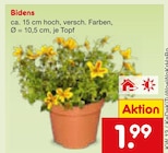 Bidens Angebote bei Netto Marken-Discount Niederkassel für 1,99 €