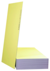 Plaque de platre ba13 multifonction(1) dans le catalogue Brico Dépôt