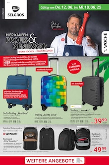 Aktueller Selgros Prospekt (Hillesheim, Mainz-Bingen, 32 Seiten zum blättern Selgros Prospekt cash & carry mit 32 Seiten