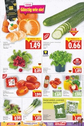 Radieschen Angebot im aktuellen E center Prospekt auf Seite 3