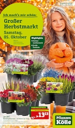 Pflanzen Kölle Prospekt für Hamburg: "Ich mach's mir schön: Großer Herbstmarkt!", 20 Seiten, 30.09.2024 - 06.10.2024