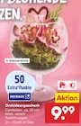 Orchideengeschenk Angebote bei Netto Marken-Discount Braunschweig für 9,99 €