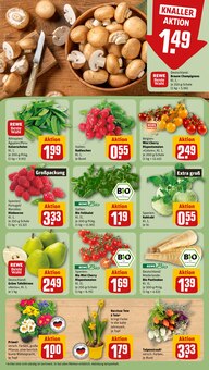 Pflanzen im REWE Prospekt "Dein Markt" mit 26 Seiten (Dresden)