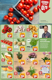 Sellerie im REWE Prospekt in Köln Aktueller REWE Prospekt mit Sellerie, "Dein Markt", Seite 5