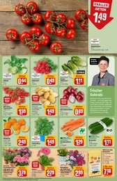 Zimmerpflanzen Angebot im aktuellen REWE Prospekt auf Seite 7