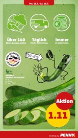 Zucchini im Penny Prospekt in Paderborn Aktueller Penny Prospekt mit Zucchini, "Wer günstig will, muss Penny.", Seite 5