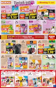 Hundefutter Angebot im aktuellen Norma Prospekt auf Seite 8