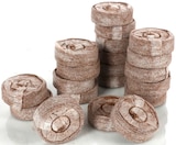 Kokos-Quelltabs im aktuellen Thomas Philipps Prospekt