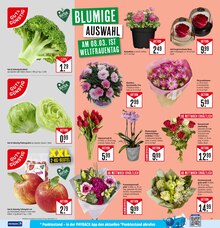 Tulpen im Marktkauf Prospekt "Aktuelle Angebote" mit 37 Seiten (Offenbach (Main))