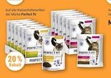GLOBUS Mannheim Prospekt mit  im Angebot für 