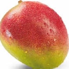 Mango Angebote bei Netto Marken-Discount Halle für 1,60 €