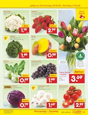 Mango im Netto Marken-Discount Prospekt in Kirchheim Aktueller Netto Marken-Discount Prospekt mit Mango, "Aktuelle Angebote", Seite 37