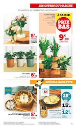 Offre Bol dans le catalogue Super U du moment à la page 43