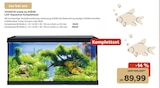 VIVANTIS LED-Aquarium Komplettset 60 Angebote von EHEIM bei Garten-Center Nordharz GmbH & Co. KG Peine für 89,99 €