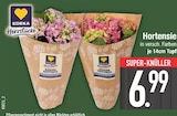 Hortensie von EDEKA Herzstücke im aktuellen EDEKA Prospekt für 6,99 €