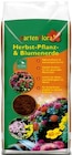 Herbst-Pflanz- und Blumenerde im Angebot bei Thomas Philipps in Oberhausen Herbst-Pflanz- und Blumenerde Angebote bei Thomas Philipps Oberhausen für 2,99 €
