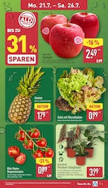 Ananas im ALDI Nord Prospekt in Gera Aktueller ALDI Nord Prospekt mit Ananas, "Aktuelle Angebote", Seite 3