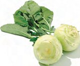 Kohlrabi im Angebot bei Netto mit dem Scottie in Halle Kohlrabi Angebote bei Netto mit dem Scottie Halle für 0,49 €