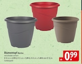 Aktuelles Blumentopf Marina Angebot bei famila Nordost in Lübeck ab 0,99 €