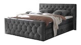 Boxspringbett 180 x 200 cm anthrazit Bettkasten - CASHFIELD im Angebot bei Die Möbelfundgrube in Mainz Boxspringbett 180 x 200 cm anthrazit Bettkasten - CASHFIELD Angebote bei Die Möbelfundgrube Mainz für 1.279,99 €
