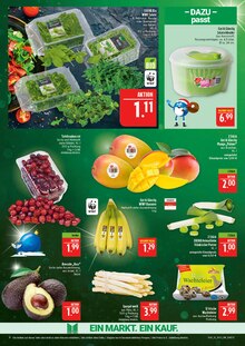Pflanzen im aktuellen Marktkauf Prospekt (Nürnberg) Pflanzen im Marktkauf Prospekt "AUSWAHL RIESIG, PREISE NIEDRIG" mit 48 Seiten (Nürnberg)