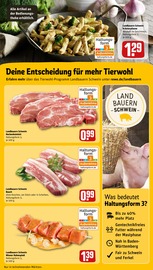 Aktueller REWE Prospekt mit Schweinebauch, "Dein Markt", Seite 13