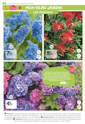 Hortensia Angebote im Prospekt "PROFITER ENFIN DE SON JARDIN : PLANTATIONS" von Carrefour Market auf Seite 6