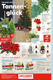 Strümpfe im Hellweg Prospekt in Langenfeld Aktueller Hellweg Prospekt mit Strümpfe, "Die Profi-Baumärkte", Seite 16