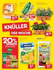Blumenerde im Netto Marken-Discount Prospekt "Aktuelle Angebote" mit 65 Seiten (Leipzig)