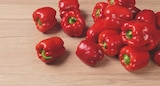 tegut Hofbieber - Bio-Paprika rot Angebot im Prospekt Bio-Paprika rot bei tegut im Hofbieber Prospekt für 2,99 €