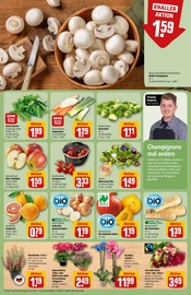 Aktueller REWE Prospekt mit Kürbis, "Dein Markt", Seite 11