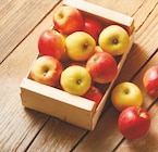 Promo Pomme bicolore et/ou jaune à 0,45 € dans le catalogue Intermarché Contact à Quissac