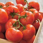 Intermarché Express Saint-Pons-de-Thomières - Promo Tomate ronde en grappe Promo Tomate ronde en grappe à 1,49 € dans le catalogue Intermarché Express à Saint-Pons-de-Thomières