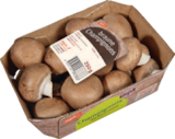 Champignons braun von tegut... im aktuellen tegut Prospekt für 1,79 €