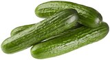 Aktuelle Gemüse Angebote bei REWE in Braunschweig Aktuelles Mini Gurke Angebot bei REWE in Braunschweig ab 0,39 €