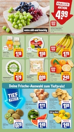 Tierbedarf im REWE Prospekt in Tübingen Aktueller REWE Prospekt mit Tierbedarf, "Dein Markt", Seite 8