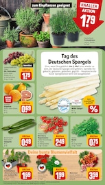Ähnliche Angebote wie Veilchen im Prospekt "Dein Markt" auf Seite 7 von REWE in Schweinfurt