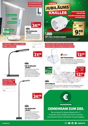 Aktueller Hagebaumarkt Prospekt mit Lichterkette, "UNSERE JUBILÄUMS KNALLER", Seite 13