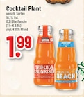Trinkgut Köln - Tequila Sunrise Angebot im Prospekt Tequila Sunrise bei Trinkgut im Köln Prospekt für 1,99 €